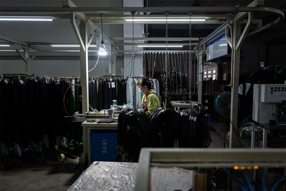 Gewinnerbild Nummer 5